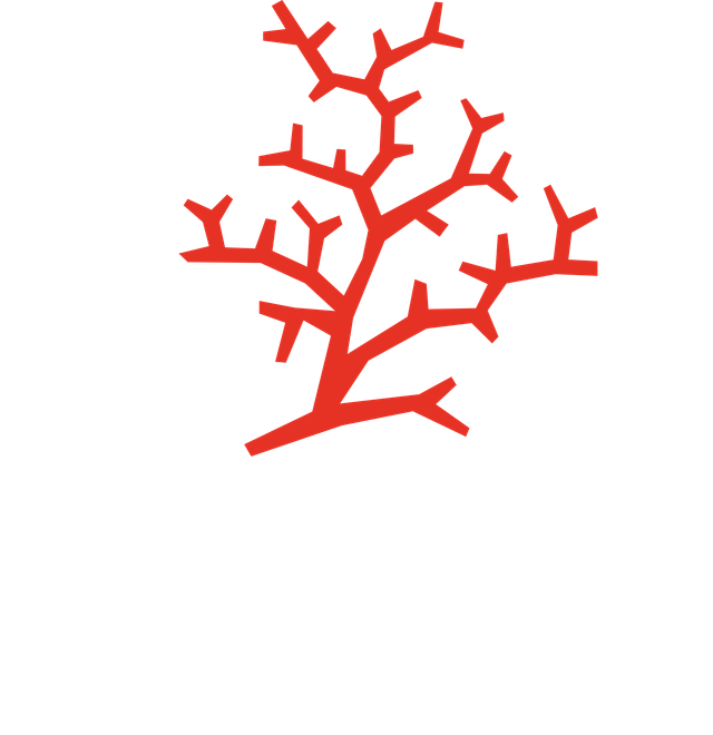 Yachting Concept Monaco logo